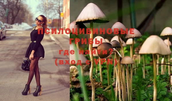 марихуана Белокуриха