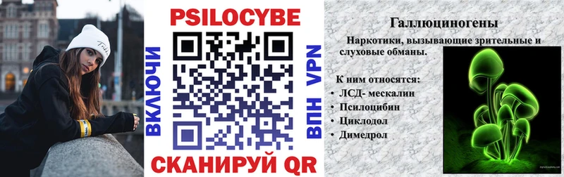 Купить закладки  Туринск  Псилоцибиновые грибы Magic Shrooms 